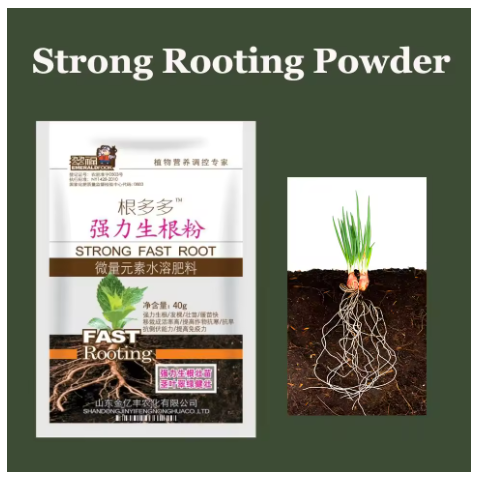 Rooting Hormone Powder - Mocny proszek do ukorzeniania roślin, hormon