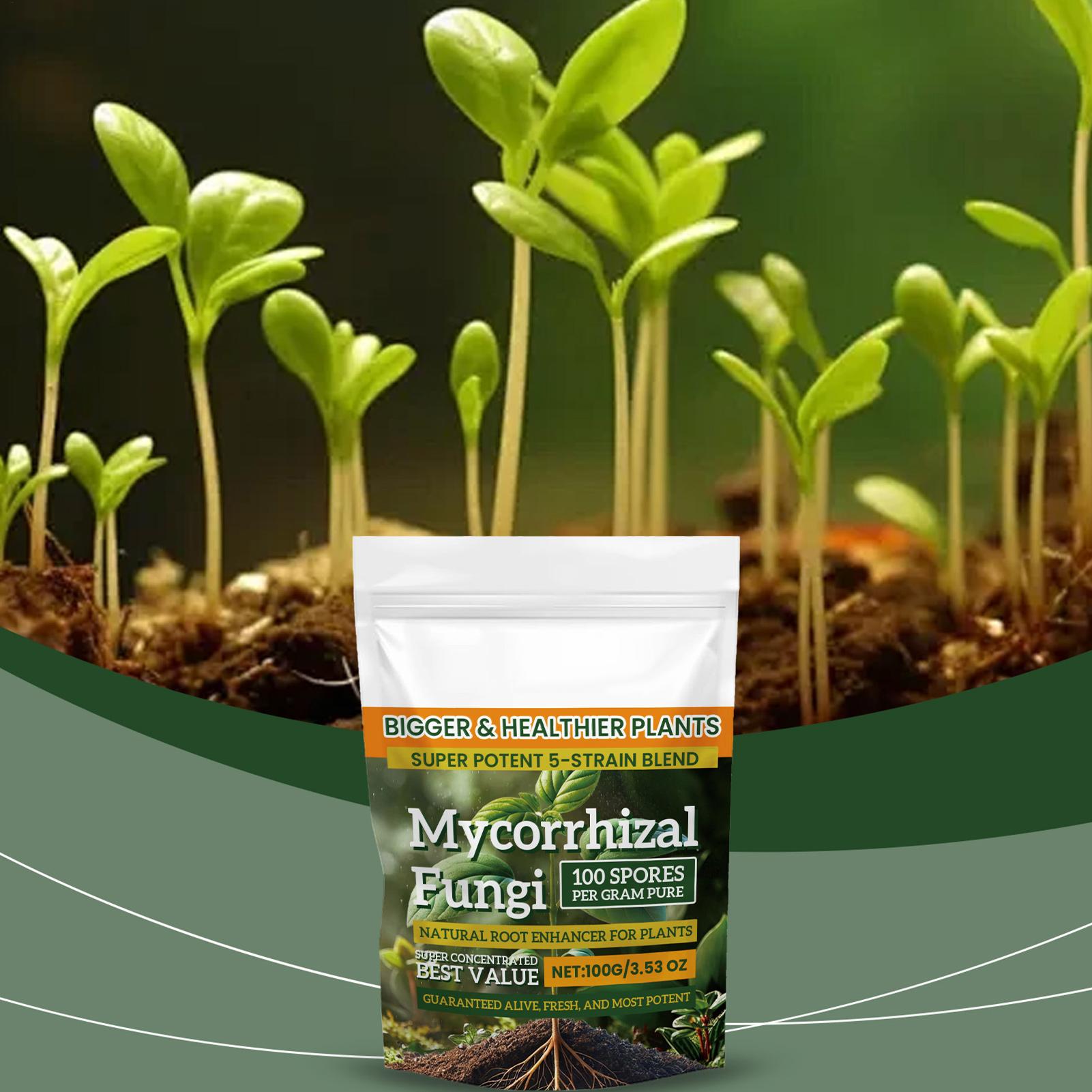 100g Nawóz Roślinny w Proszku, – Rooting Hormone Powder recenzja i cena