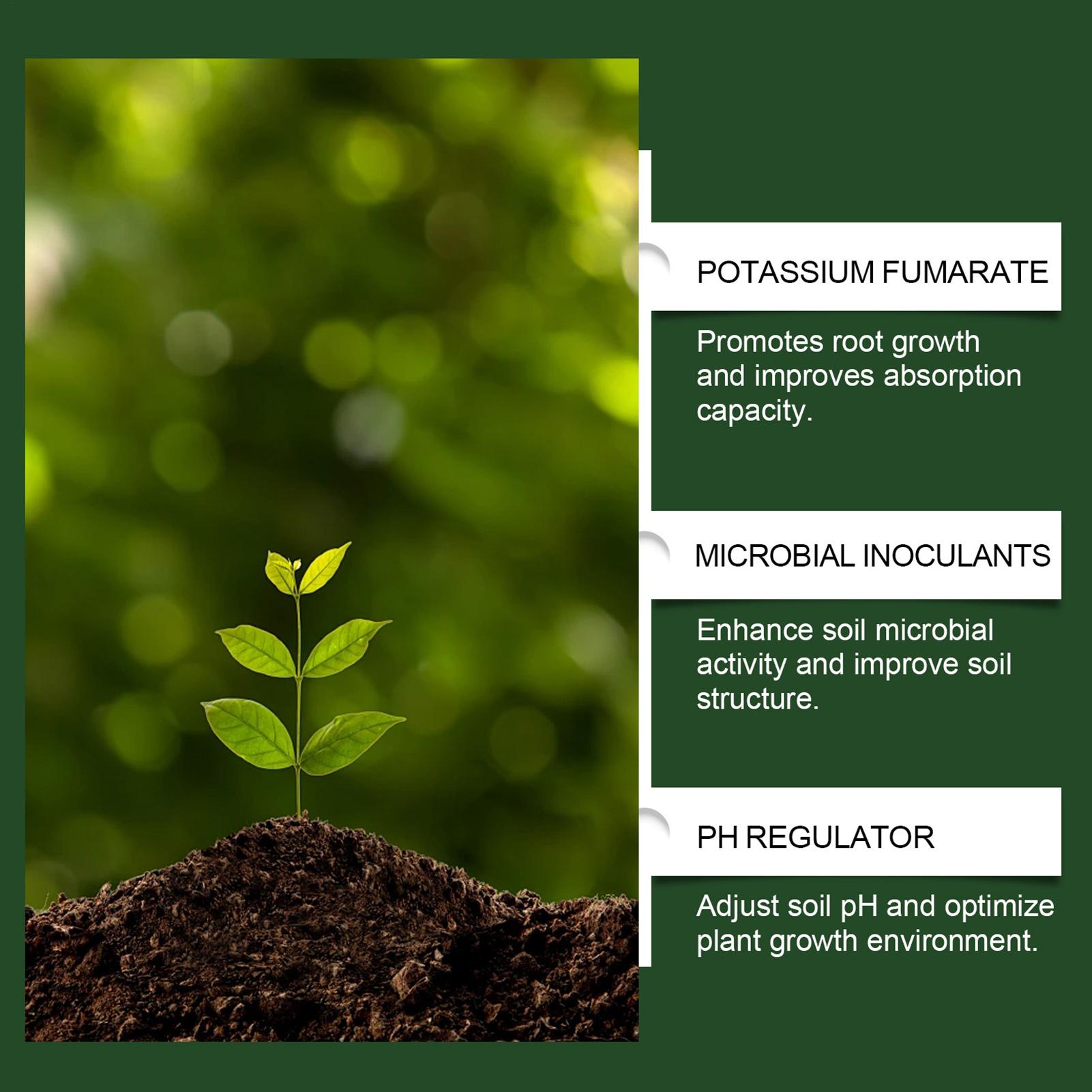 100g Nawóz Roślinny w Proszku, – Rooting Hormone Powder recenzja i cena