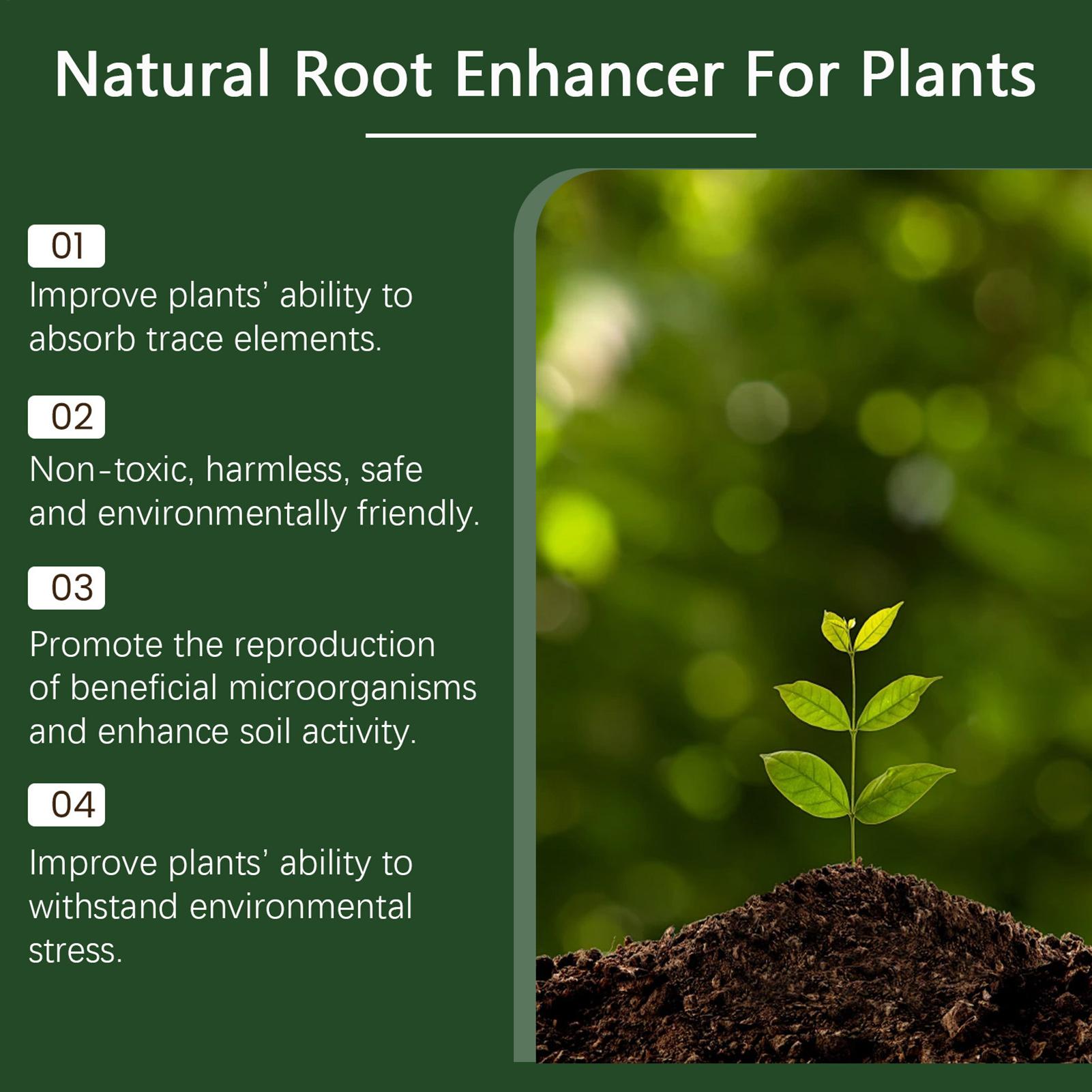 100g Nawóz Roślinny w Proszku, – Rooting Hormone Powder recenzja i cena