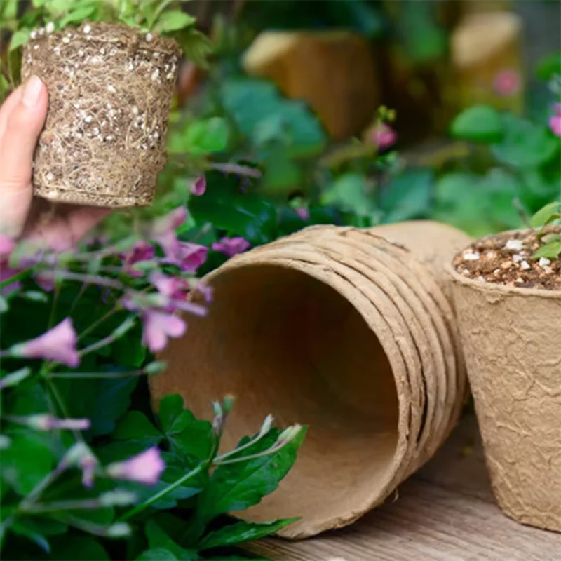 50 sztuk – okrągłe doniczki z  – Peat Pellet Tray recenzja i cena