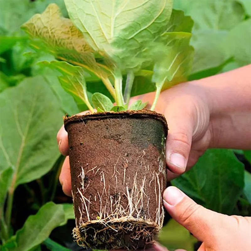 50 sztuk – okrągłe doniczki z  – Peat Pellet Tray recenzja i cena