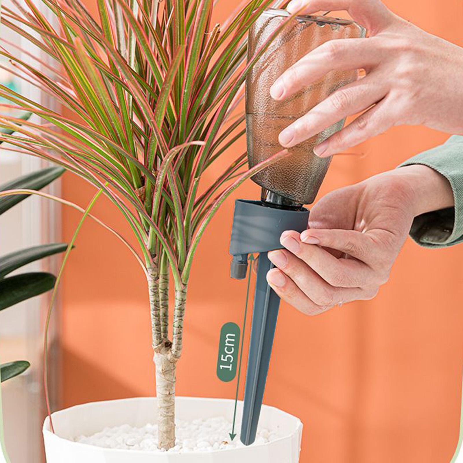 6 szt. Automatyczny podkaszacz – Self Watering Insert recenzja i cena